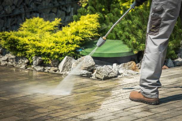 Best Sidewalk and Walkway Pressure Cleaning in Sleepy Eye, MN